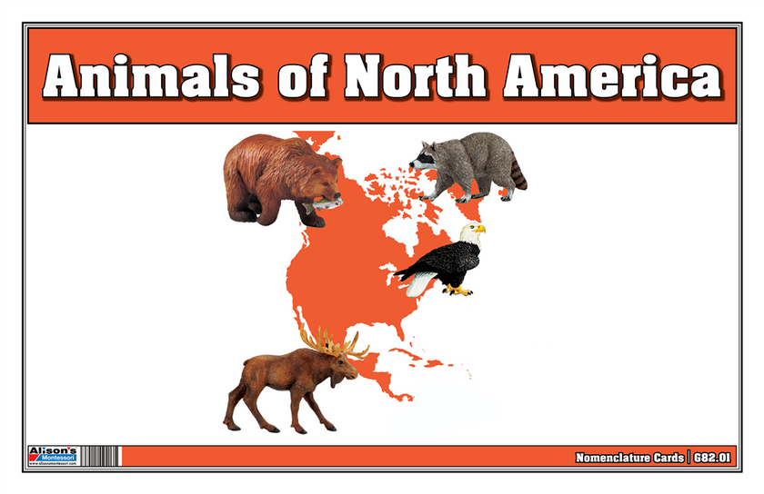 Animals of North America Nomenclature Cards (Printed)