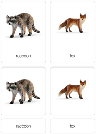 Animals of North America Nomenclature Cards (Printed)