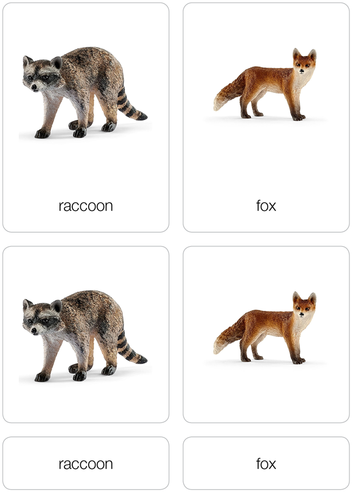 Animals of North America Nomenclature Cards (Printed)