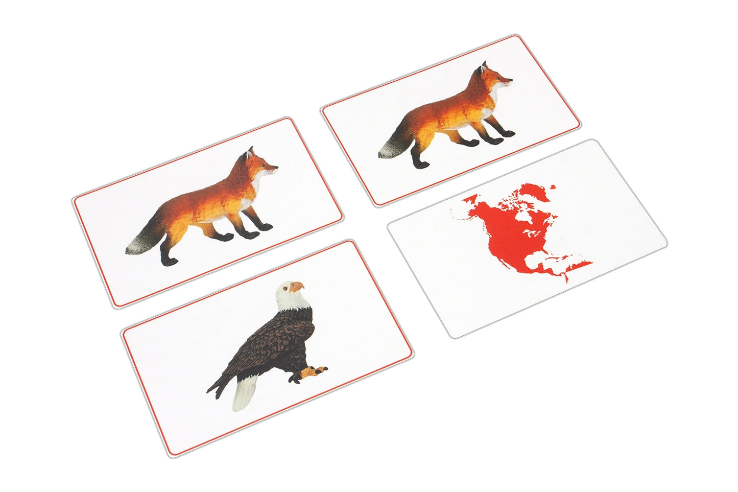 Animals of North America Matching Cards