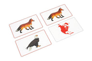 Animals of North America Matching Cards