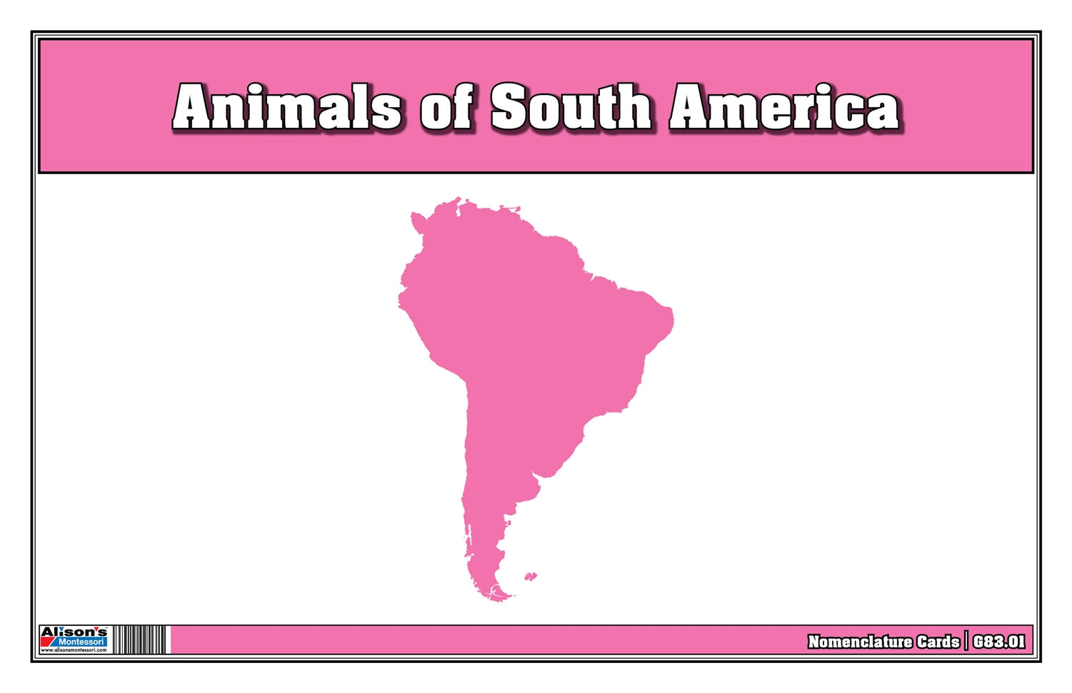 Animals of South America Nomenclature Cards (Printed)