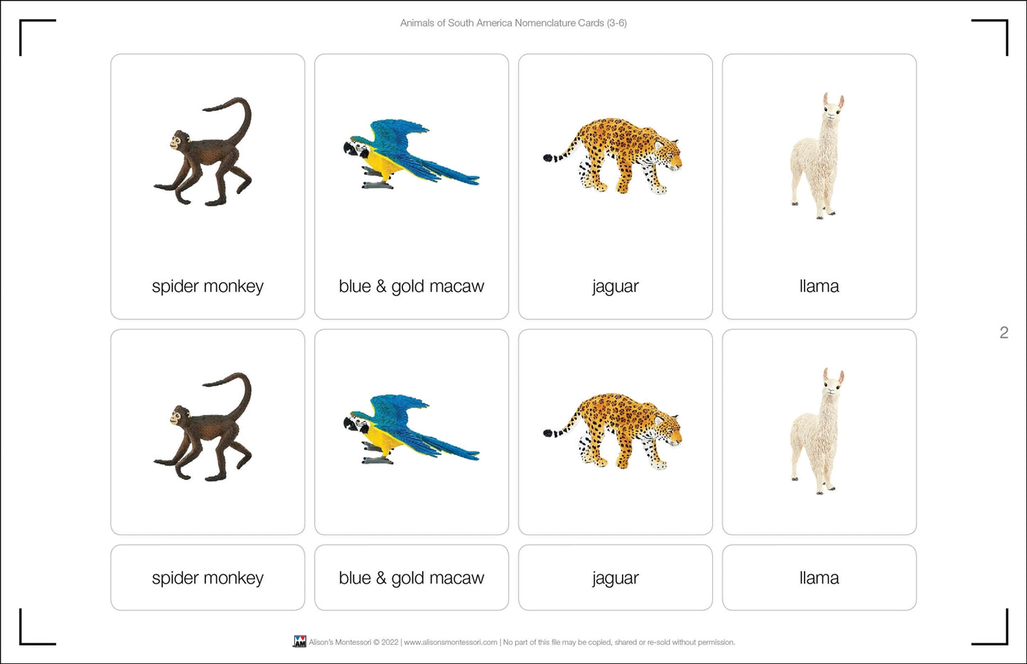 Animals of South America Nomenclature Cards (Printed)