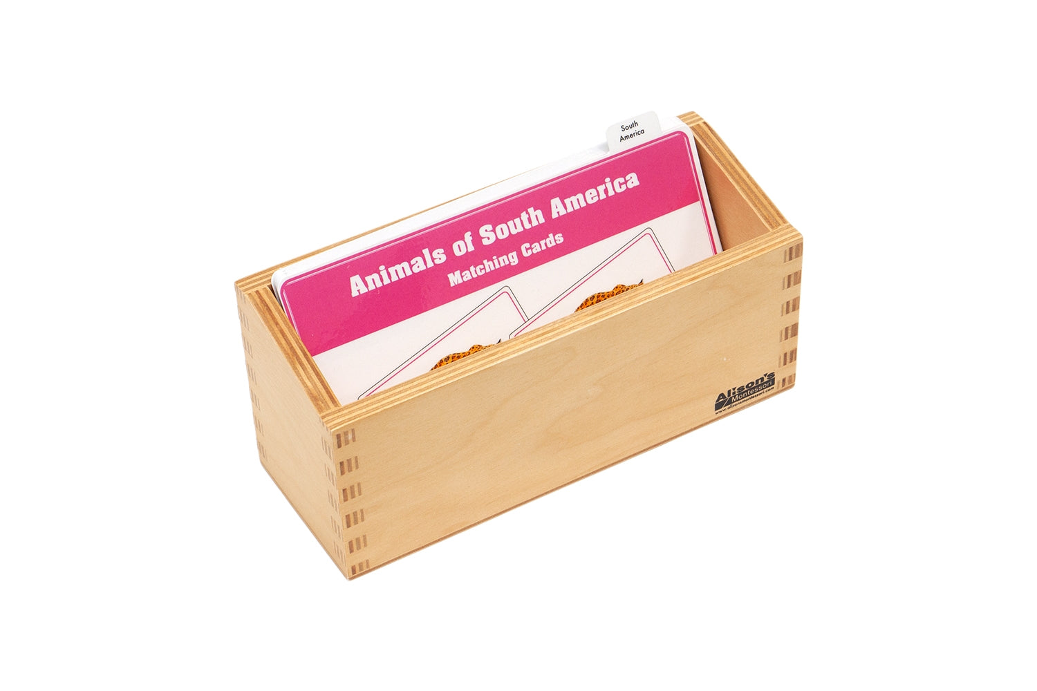 Animals of South America Matching Cards