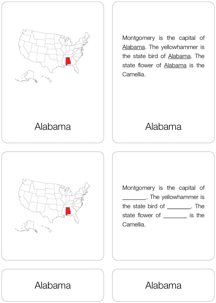 USA State Study Nomenclature Cards (6-9) (Printed)