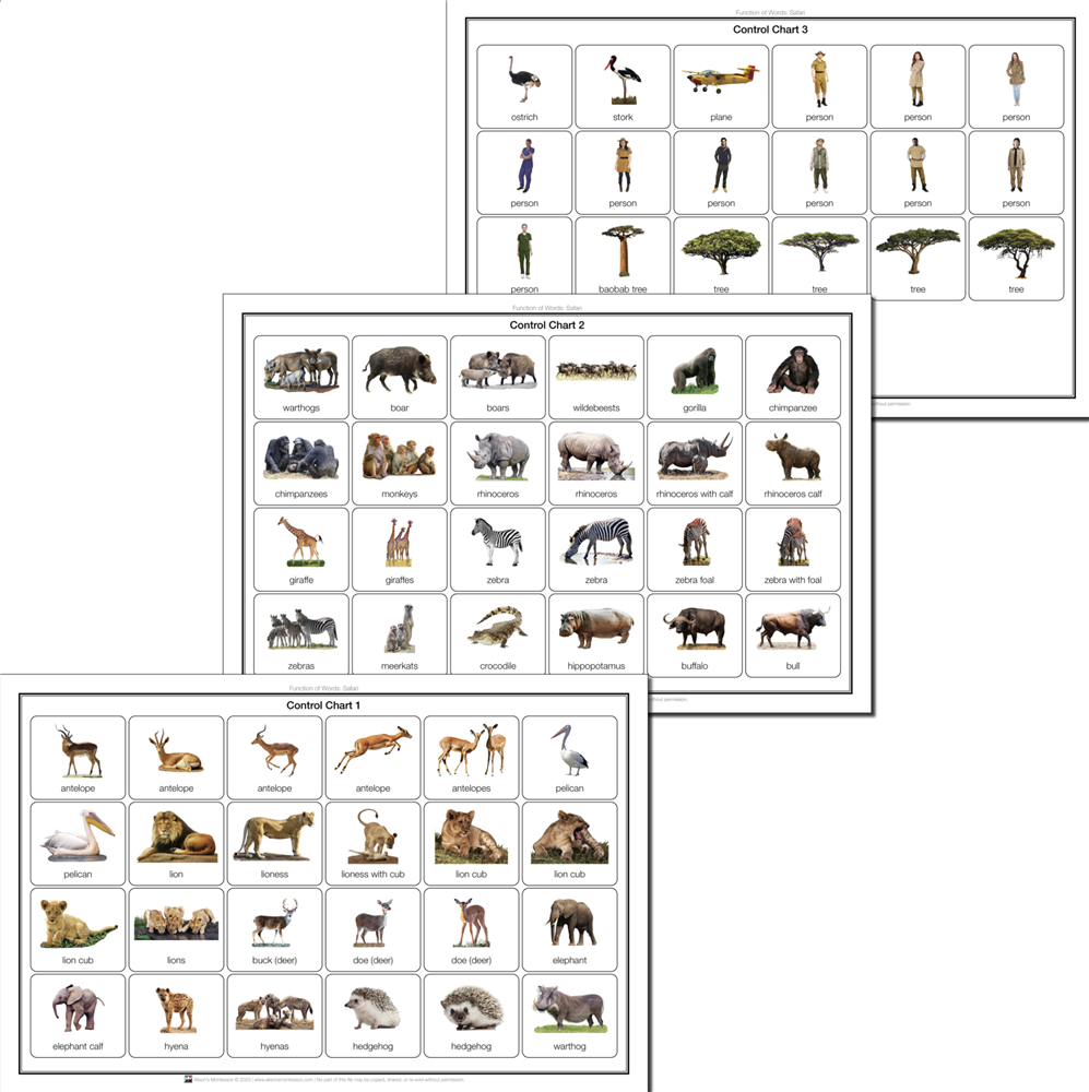 Function of Words: Safari Cut-out Control Charts