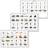 Function of Words: Safari Cut-out Control Charts