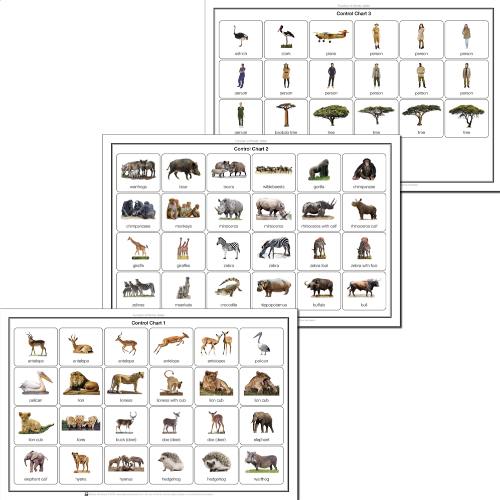 Function of Words: Safari (Cloth Control Chart with Decals)