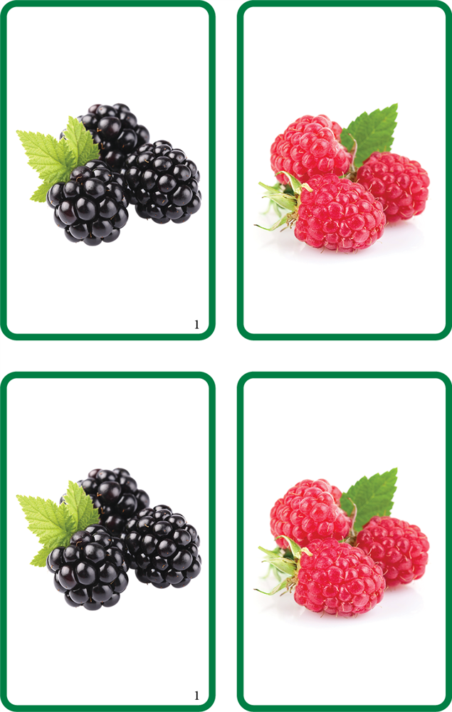 Fruit Matching Cards
