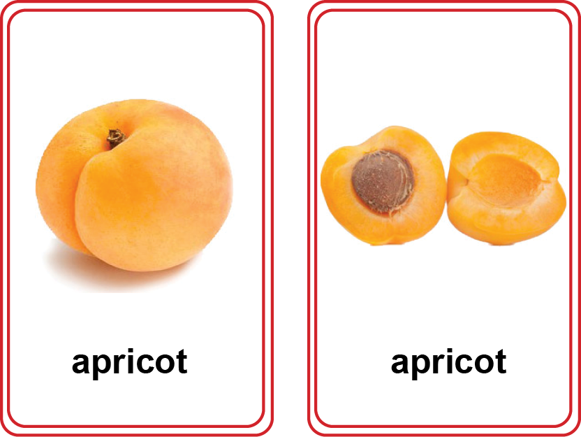 Fruit Matching Cards- Whole and Half