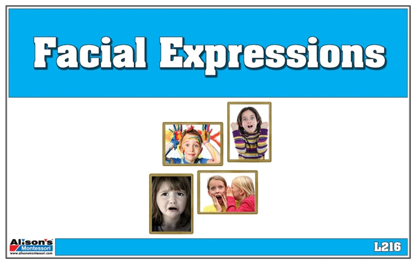 Facial Expressions (Printed)