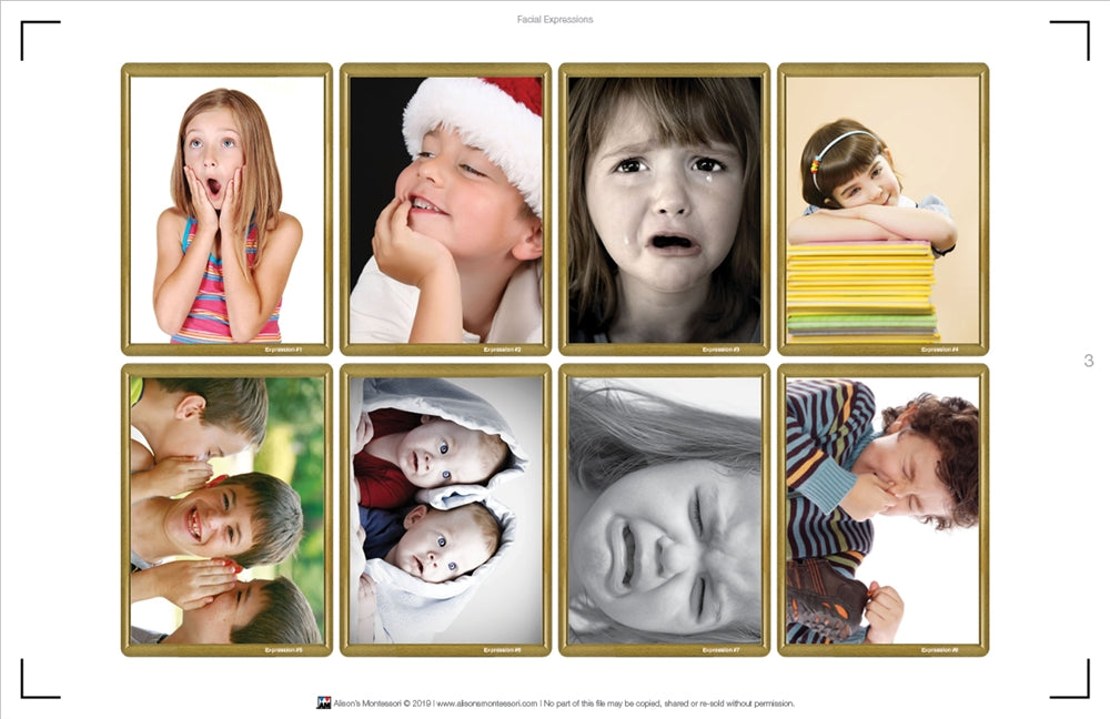 Facial Expressions (Printed)