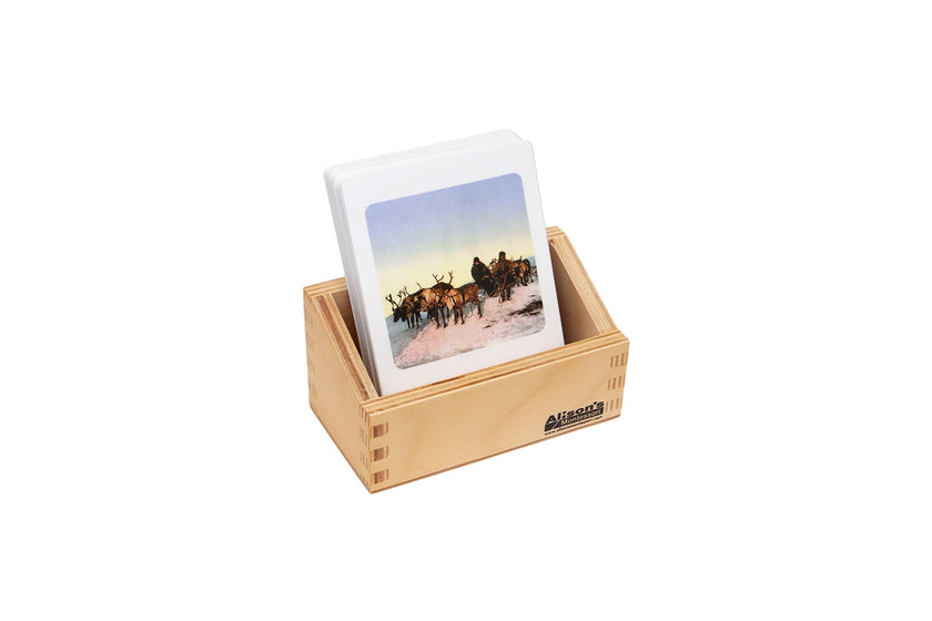 Transportation Around the World (Printed)