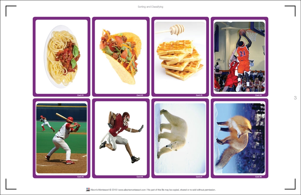 Sorting and Classifying (Printed)