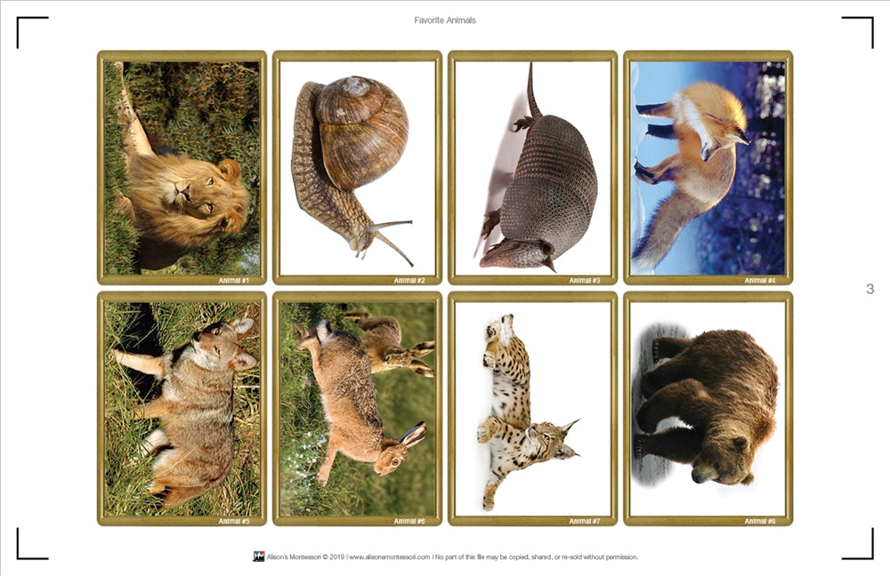 Favorite Animals (Printed)