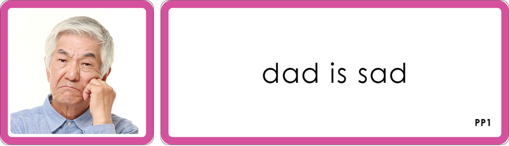 Montessori Pink Language Series (Printed)