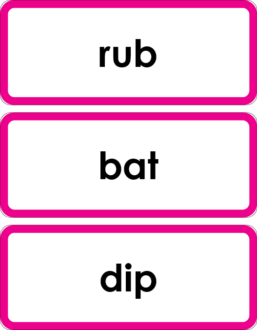 Montessori Pink Language Series (Printed)