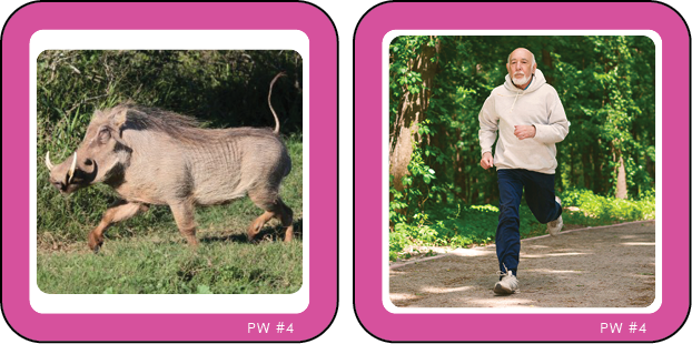 Phonic Picture Cards