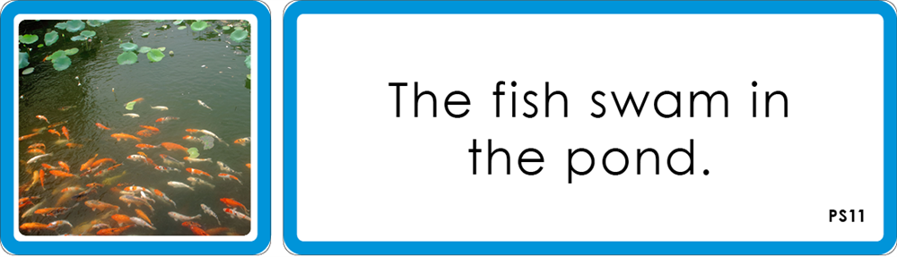 Montessori Blue Language Series (Printed)