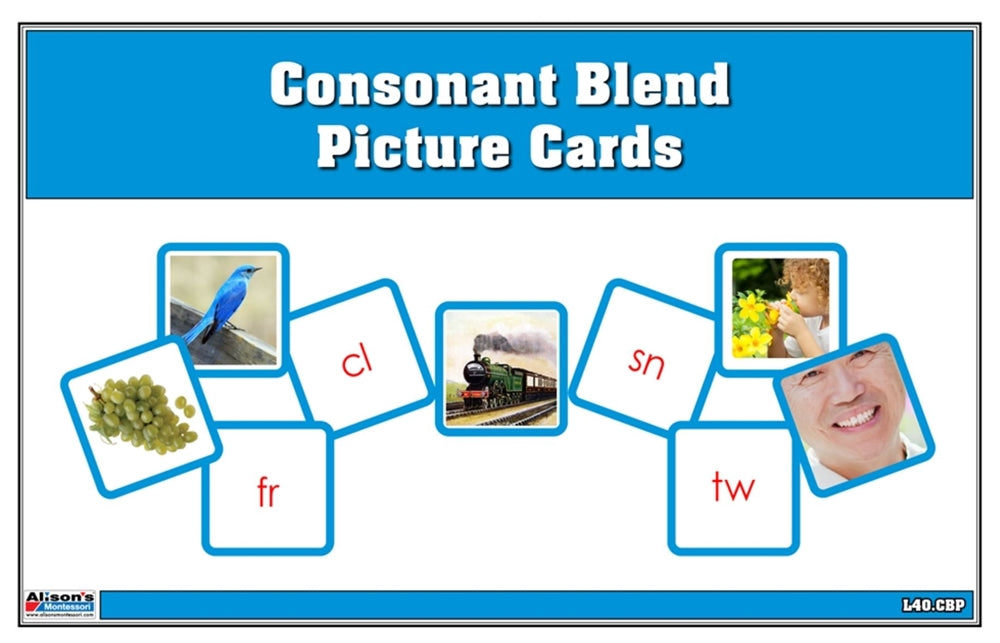 Consonant Blend Picture Cards (Printed and Laminated)