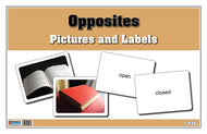 Opposites Pictures and Labels (Printed)