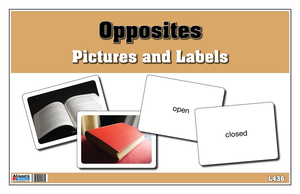 Opposites Pictures and Labels (Printed)