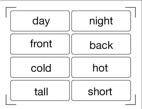 Opposites Pictures and Labels (Printed)