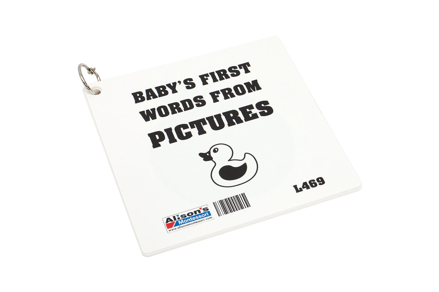 Baby's First Words From Pictures