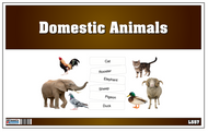 Picture Matching Cards - Domesticated Animals (Printed)