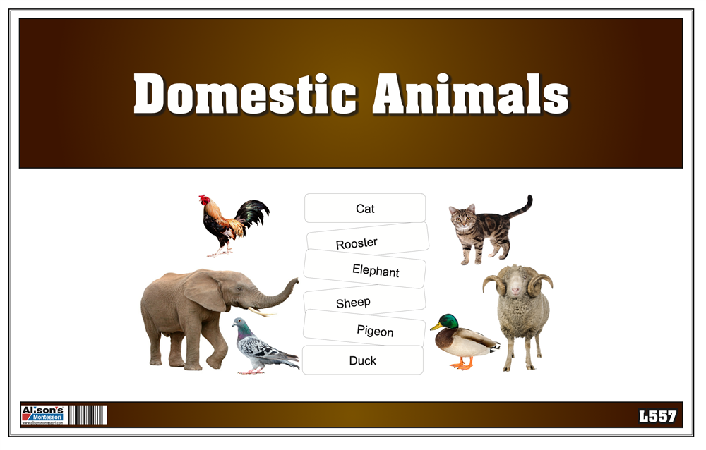 Picture Matching Cards - Domesticated Animals (Printed)