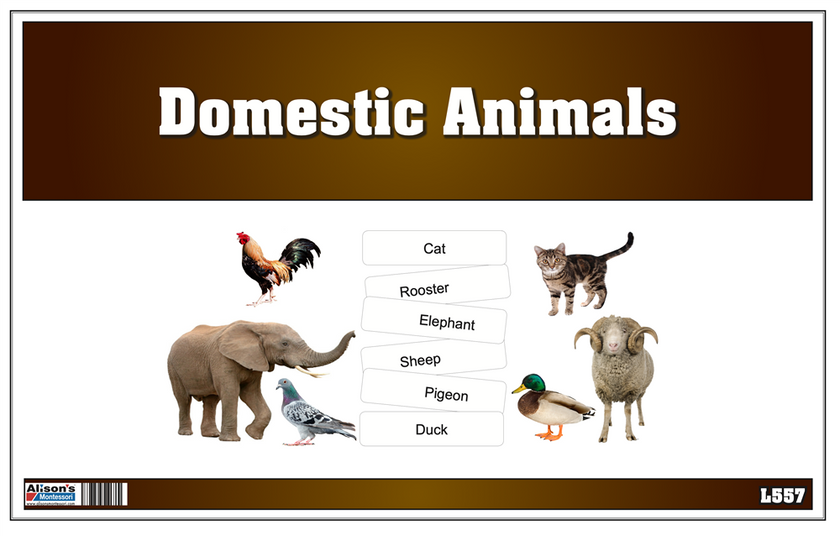 Picture Matching Cards - Domesticated Animals (Printed)