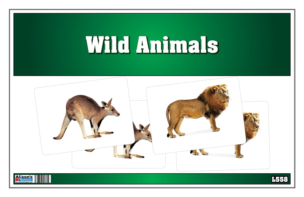 Picture Matching Cards - Wild Animals (Printed)