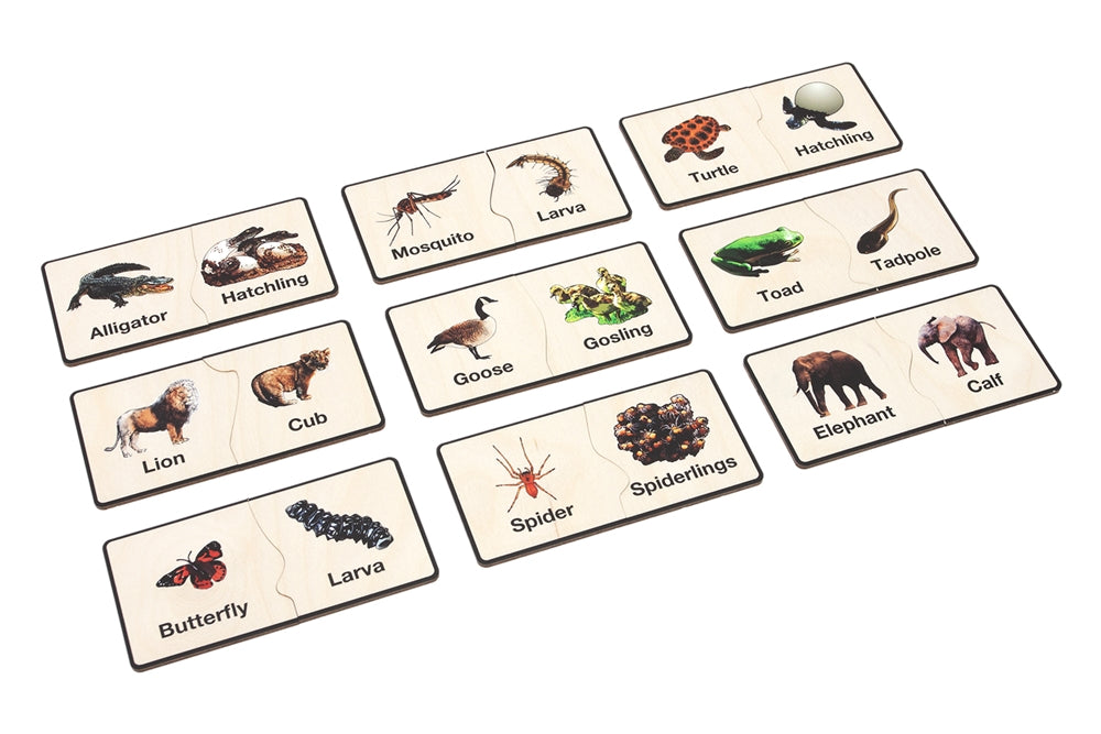Animals and their Young Matching Tiles