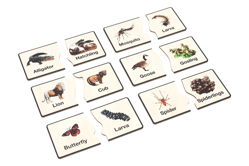 Animals and their Young Matching Tiles