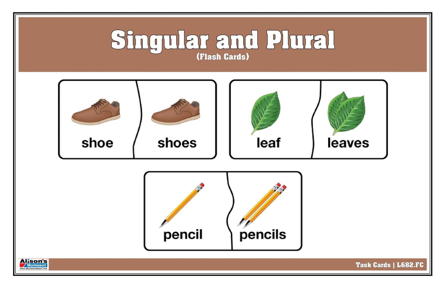 Singular and Plural - Flash Cards