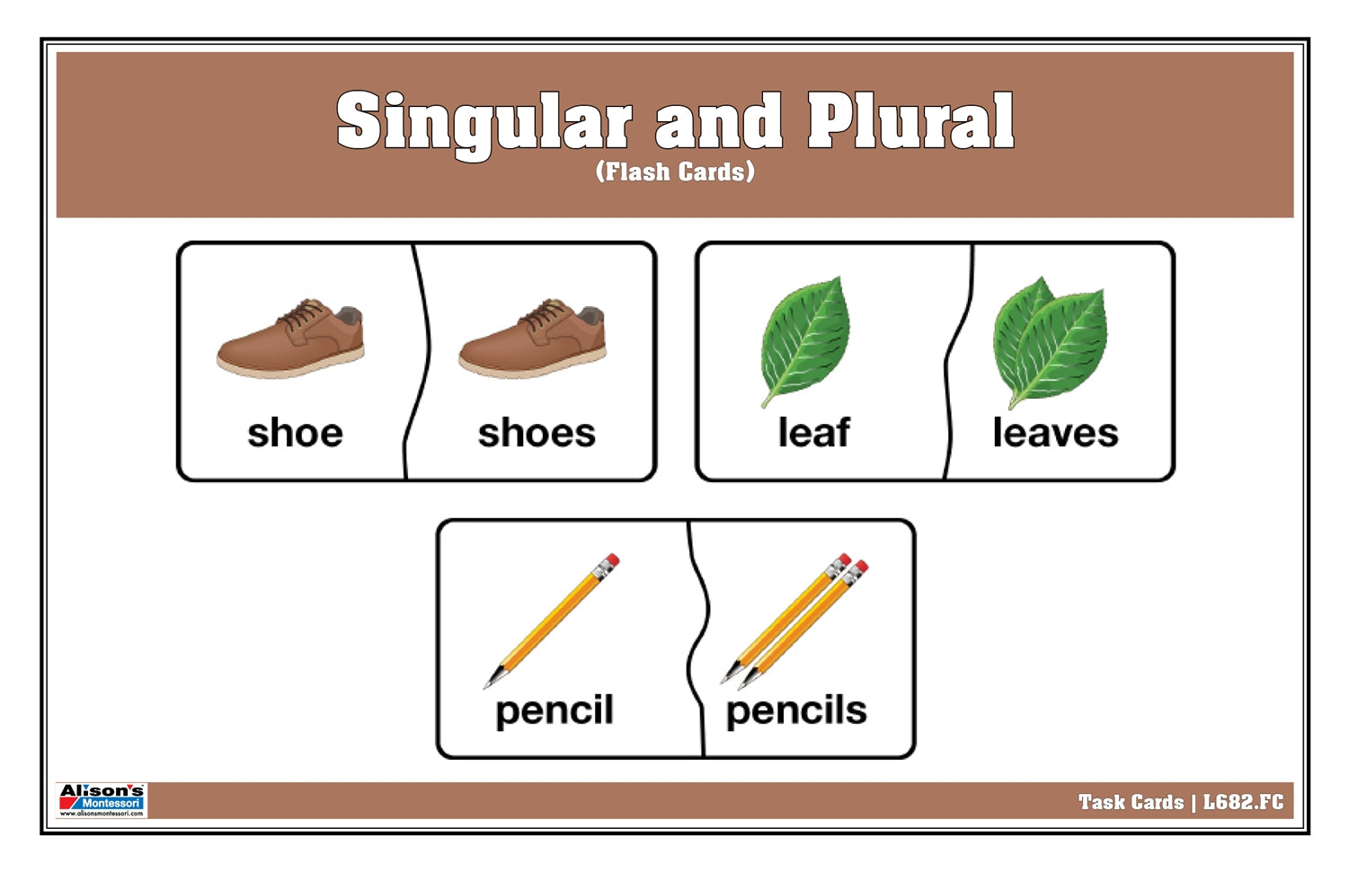 Singular and Plural - Flash Cards