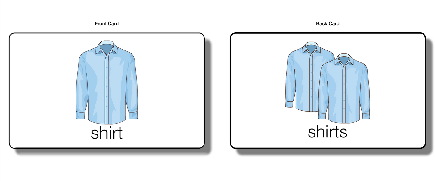 Singular and Plural - Flash Cards