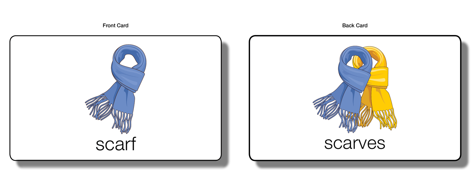 Singular and Plural - Flash Cards