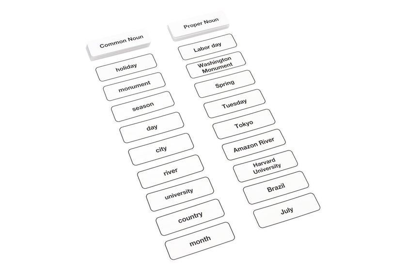 Classifying Nouns Cloth Chart and Labels
