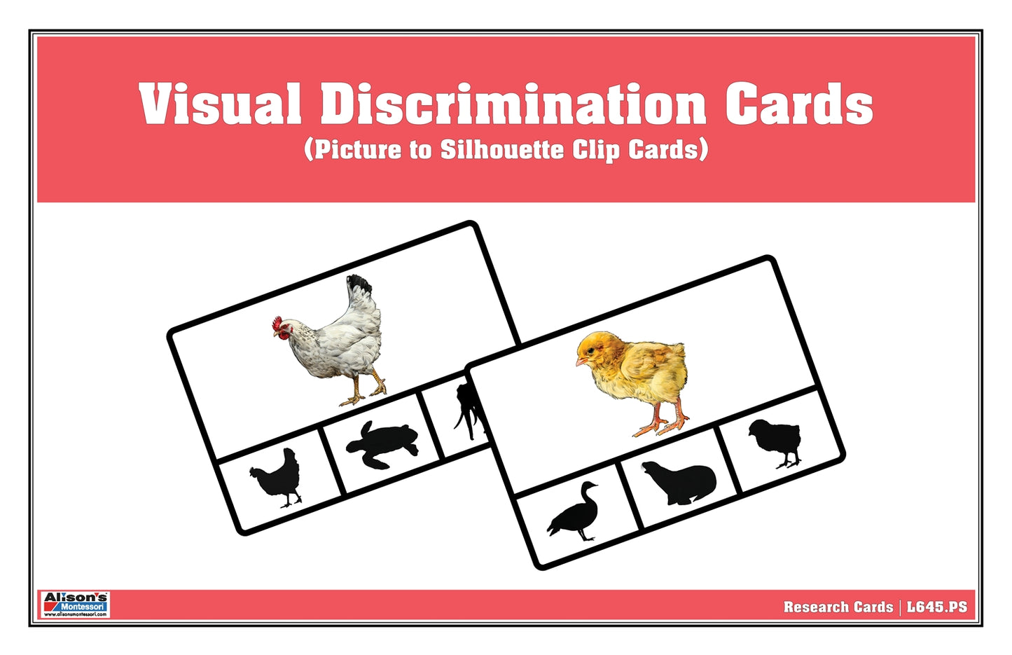 Visual Discrimination Cards: Picture to Silhouette Clip Cards