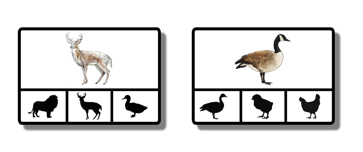 Visual Discrimination Cards: Picture to Silhouette Clip Cards