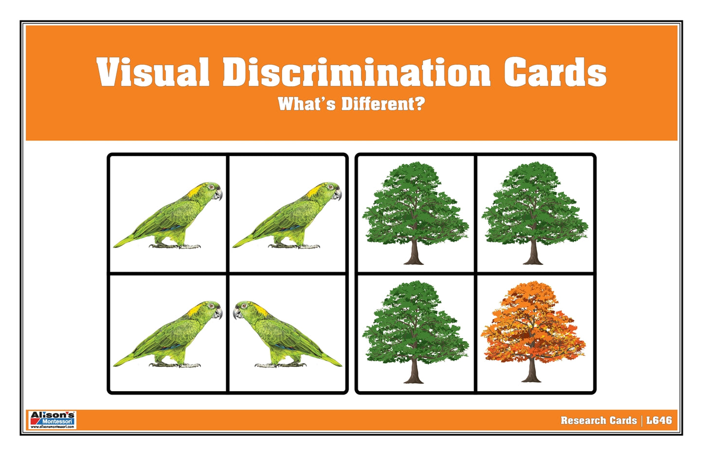 Visual Discrimination Cards: What’s Different?