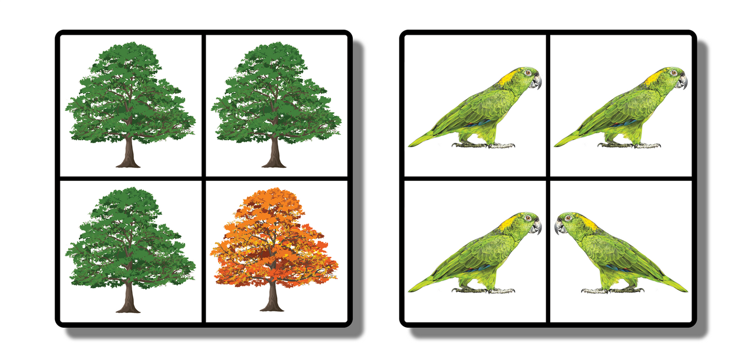 Visual Discrimination Cards: What’s Different?