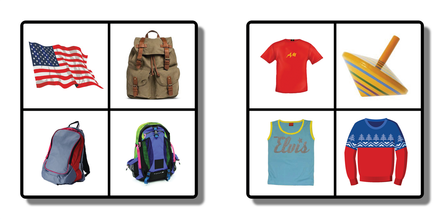 Categorizing: Alike and Not Alike