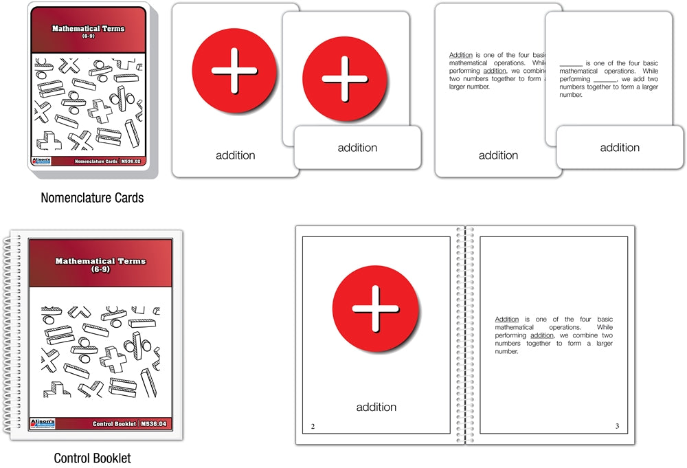 Wooden Mathematic Terms with Nomenclature Cards (6-9) (Printed)