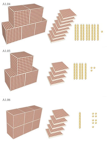 Introduction to the Decimal System (1A and 1B) (Printed)