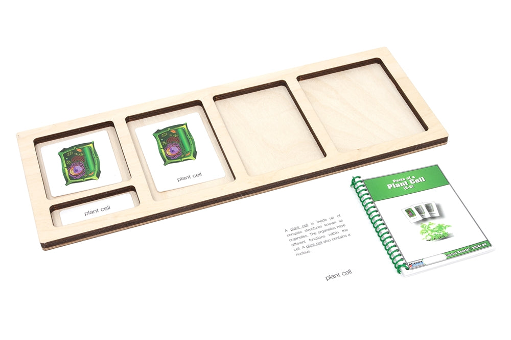 Five-Compartment Nomenclature Cards Tray