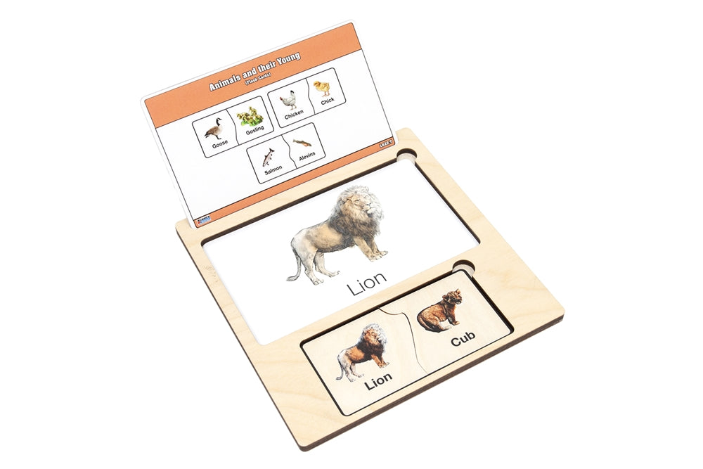 Tray for Wooden Matching Tiles