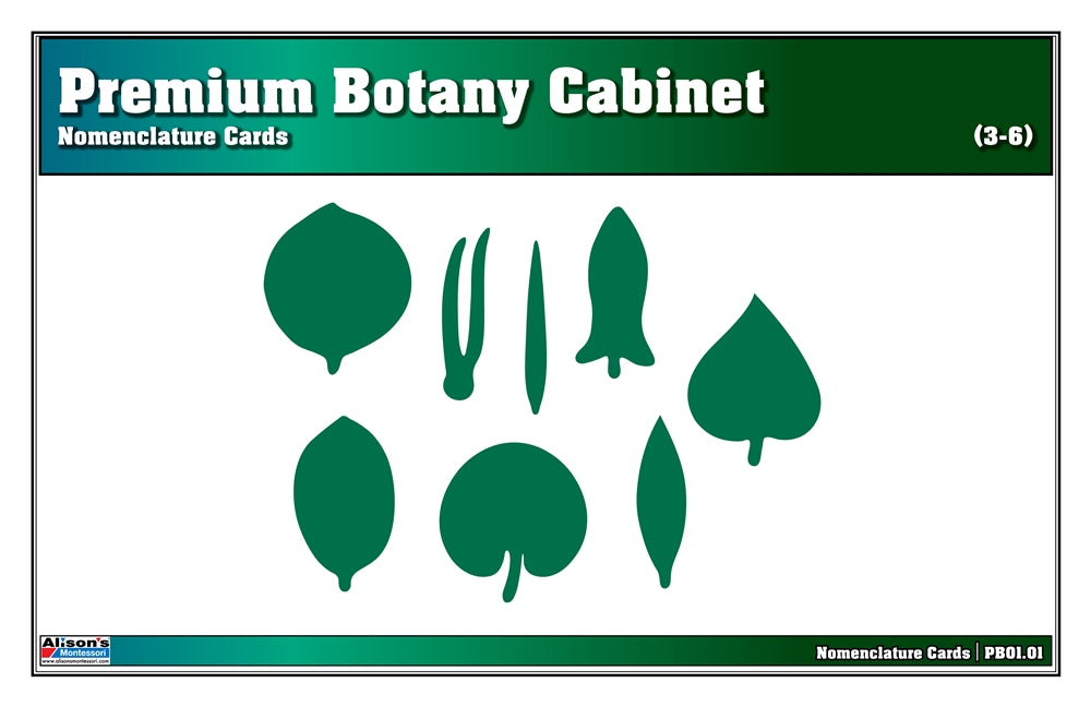 Premium Botany Cabinet Nomenclature Cards (3-6)(Printed)