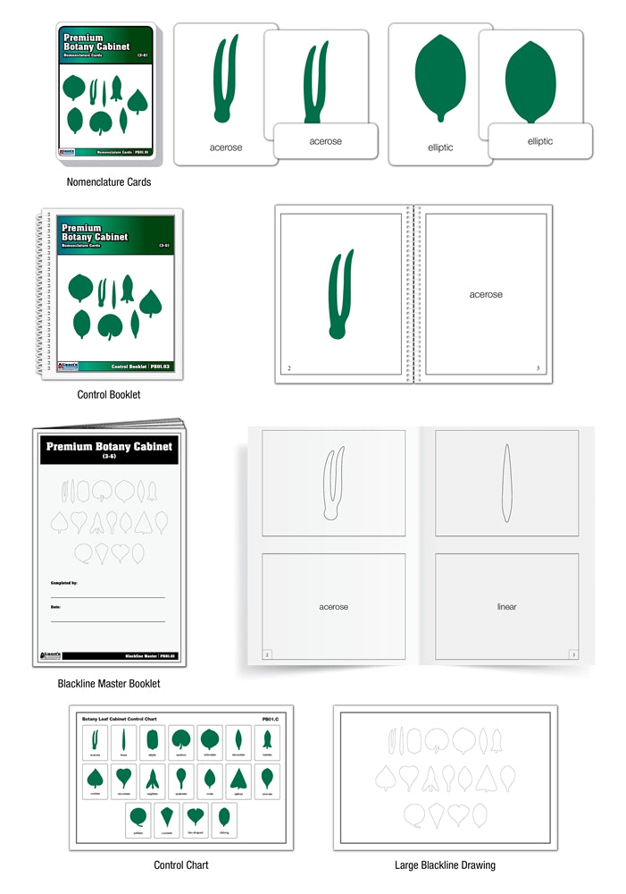 Premium Botany Cabinet Nomenclature Cards (3-6)(Printed)
